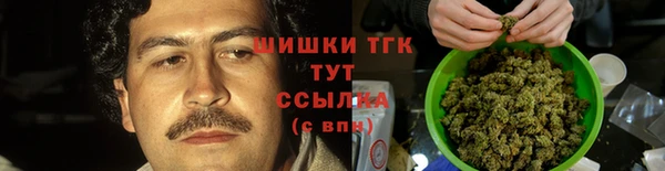 СК Новозыбков