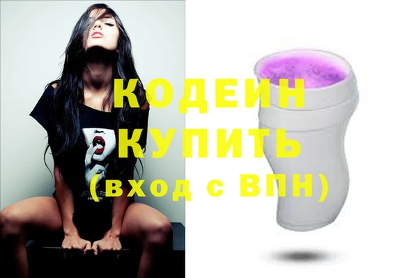 СК Новозыбков