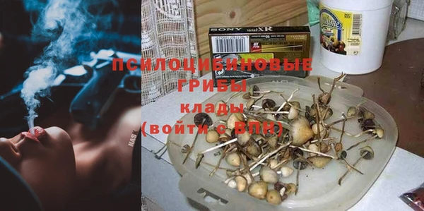 гашиш Новодвинск