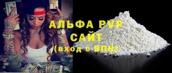 СК Новозыбков