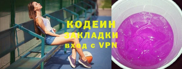 СК Новозыбков