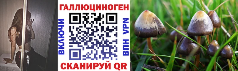 Галлюциногенные грибы мицелий Дегтярск